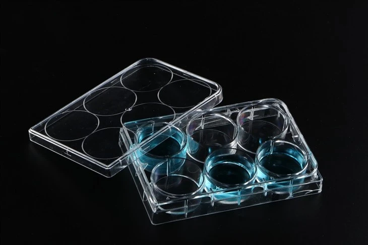 96 Well Cell Culture Plate