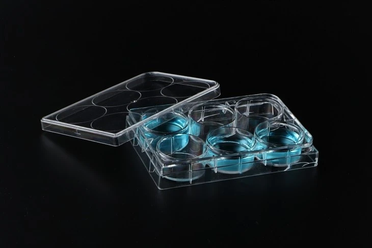 96 Well Cell Culture Plate