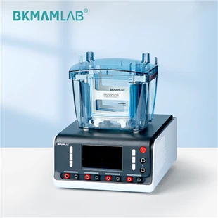 장비 공급업체 전기영동 장치